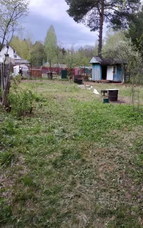 Участок в Московская область, Одинцовский городской округ, пос. НИИ ... - Фото 0