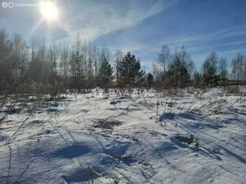 Участок в Бессоновский район, село Сосновка (19.5 м) - Фото 2