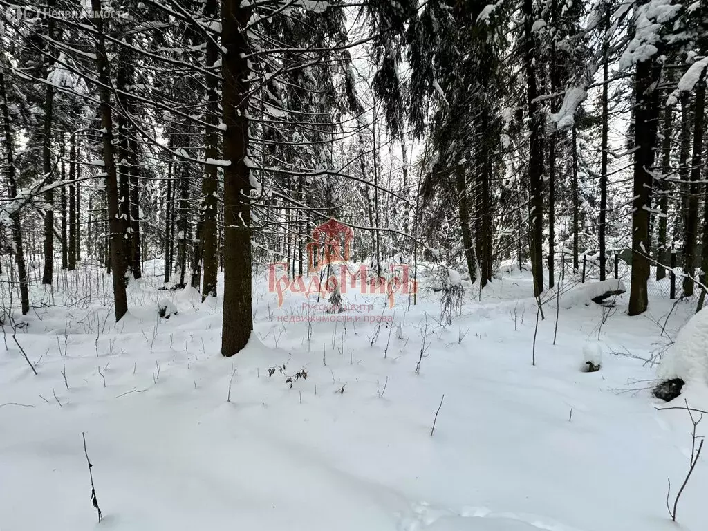 Участок в посёлок Трудовая, посёлок Трудовая Южная (5.4 м) - Фото 2