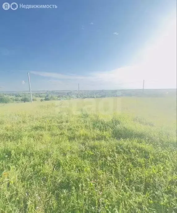 Участок в Лямбирский район, Берсеневское сельское поселение, село ... - Фото 1