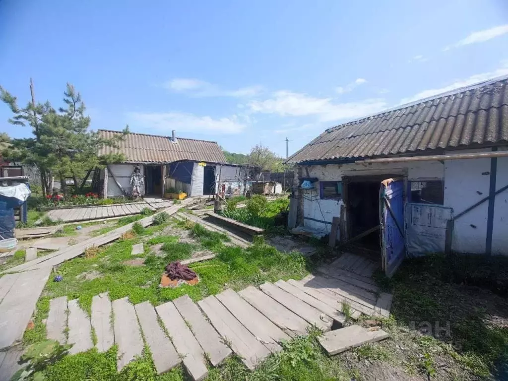 Дом в Саратовская область, Вольский район, Терсинское муниципальное ... - Фото 1