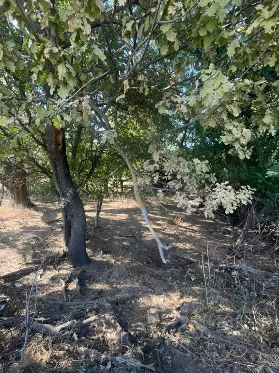 Участок в Адыгея, Тахтамукайский район, Афипсипское с/пос, Хаштук аул ... - Фото 2