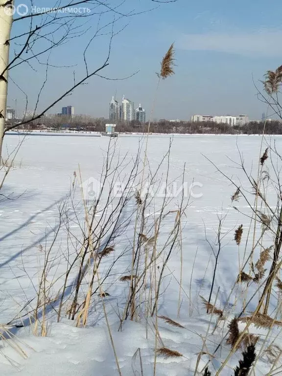 1-комнатная квартира: Казань, Авангардная улица, 91 (14.4 м) - Фото 1