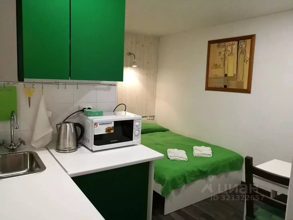 1-к кв. Санкт-Петербург Вознесенский просп., 55 (16.0 м) - Фото 1