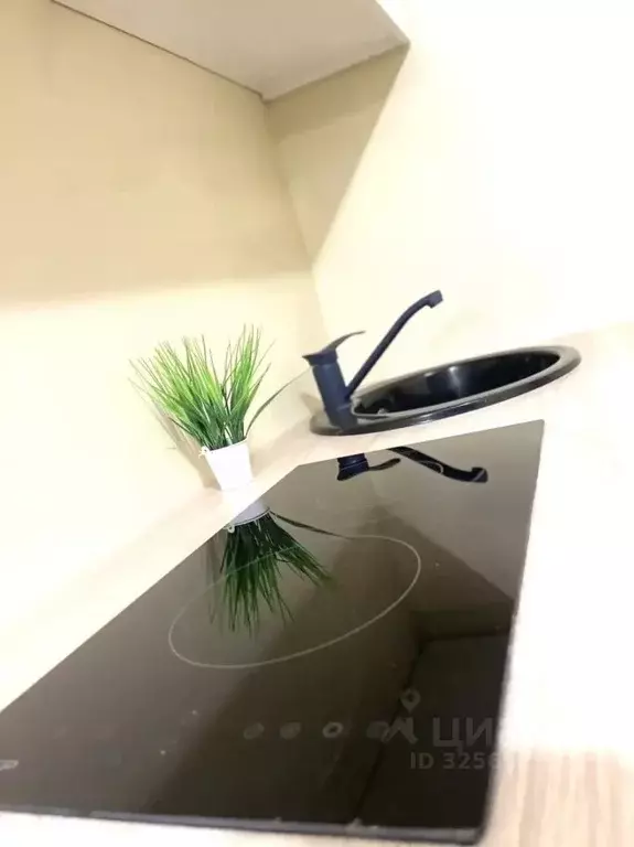 Студия Краснодарский край, Анапа Алексеевка мкр, ул. Зеленая, 71 (15.5 ... - Фото 2