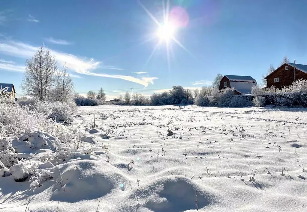 Участок в Владимирская область, Александровский муниципальный округ, ... - Фото 1