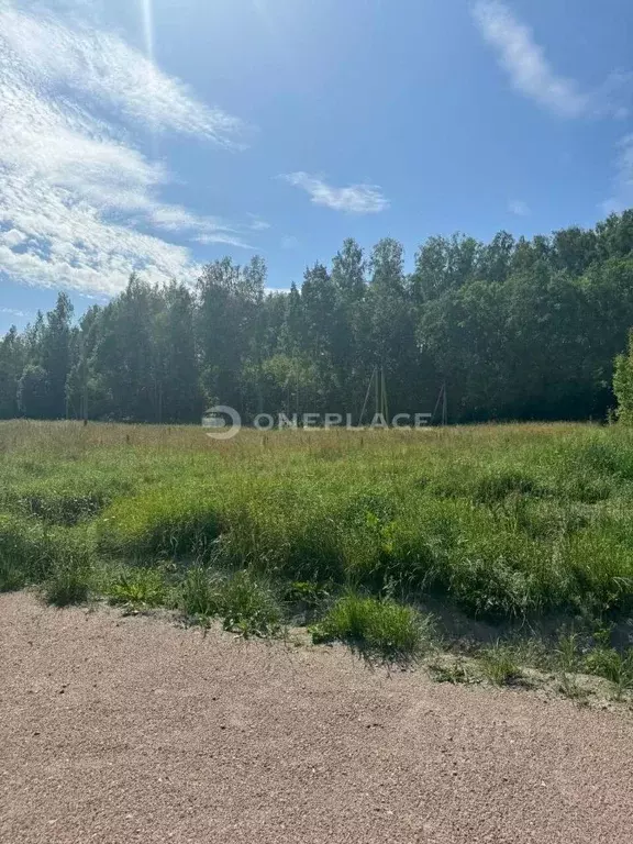 Участок в Ленинградская область, Приозерский район, Мельниковское ... - Фото 2