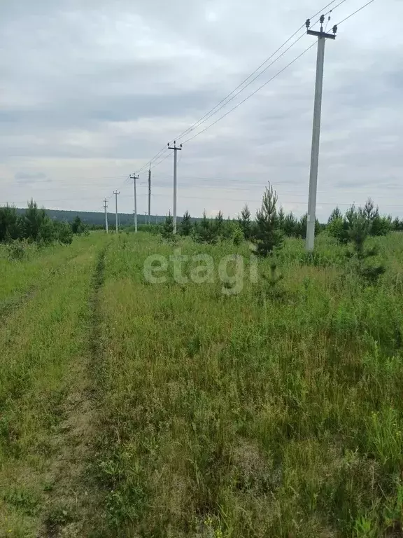 Участок, 12 сот., поселения (ижс) - Фото 1