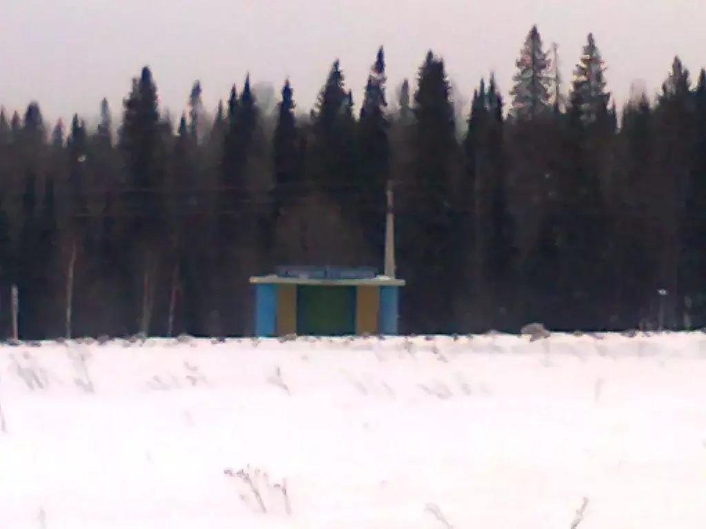 Участок в Пермский край, Чусовской городской округ, д. Шушпанка, ... - Фото 1