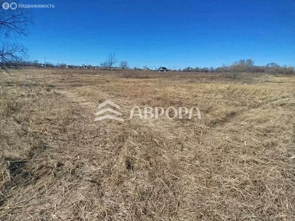 Участок в Амурская область, село Ивановка (75.37 м) - Фото 1