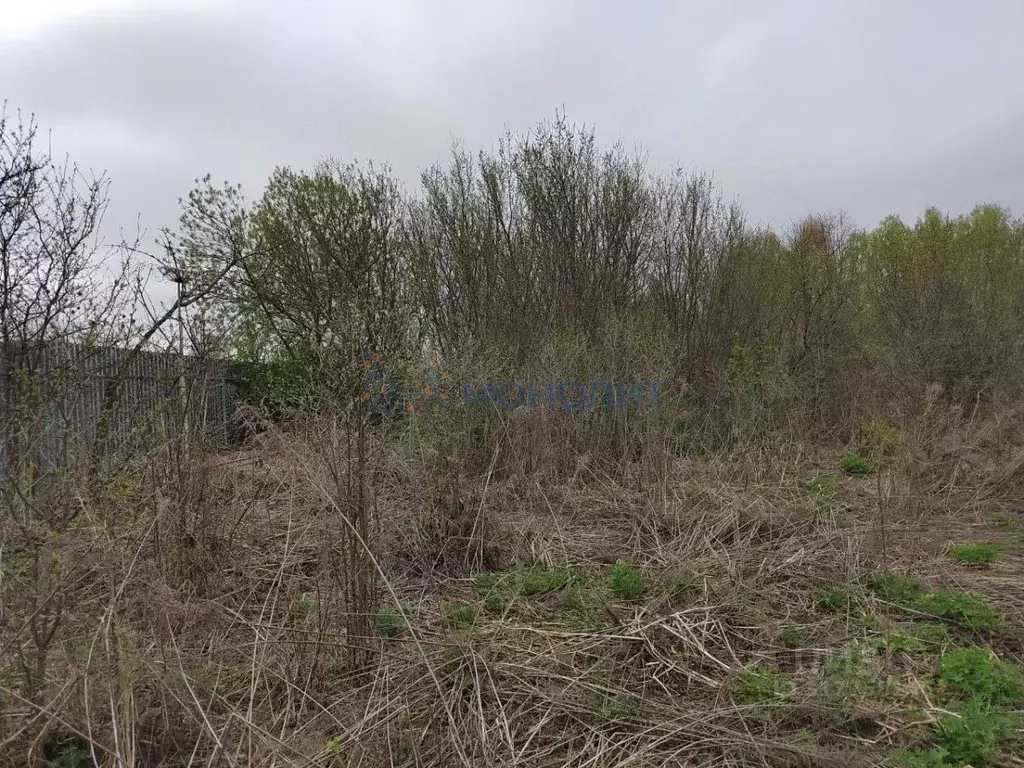 Участок в Нижегородская область, Городецкий муниципальный округ, с. ... - Фото 1