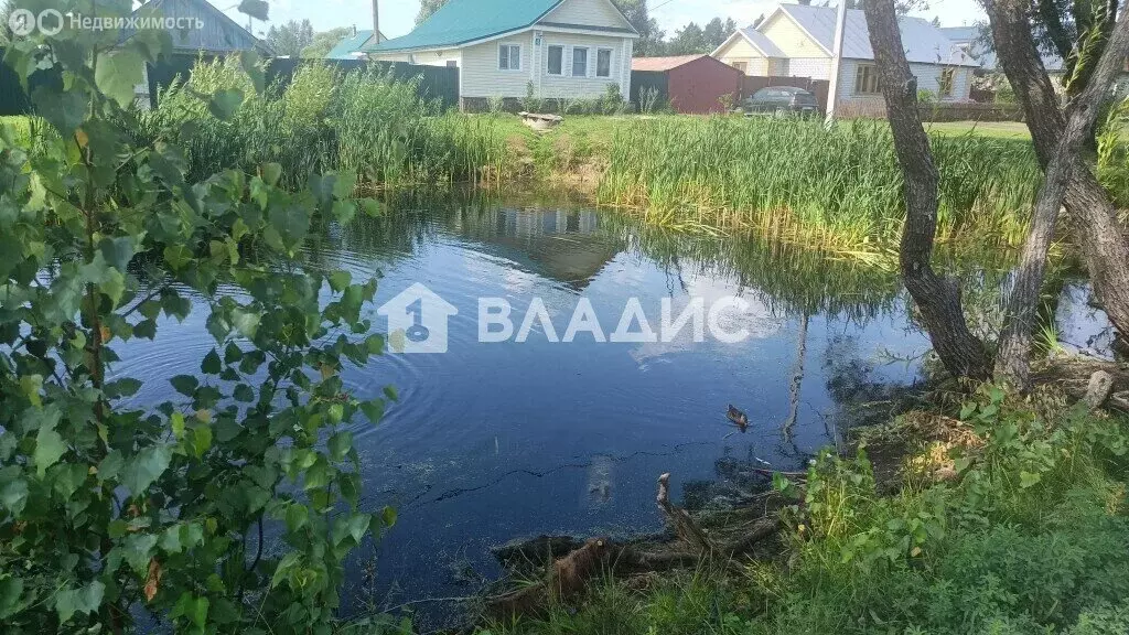 Участок в Владимирская область, Судогодский муниципальный округ, село ... - Фото 2