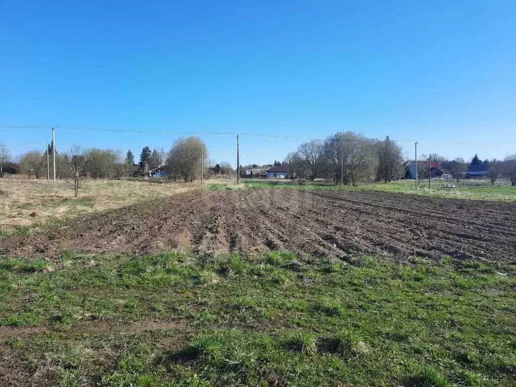 Участок в Ленинградская область, Ломоносовский район, Лопухинское ... - Фото 1