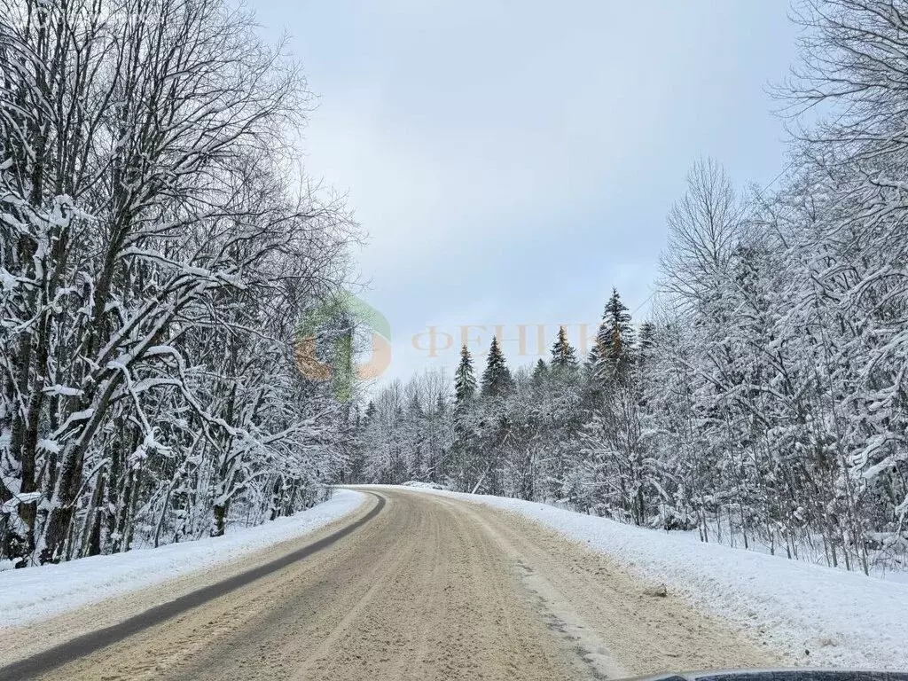 Участок в Лопухинское сельское поселение, деревня Муховицы (10 м) - Фото 1