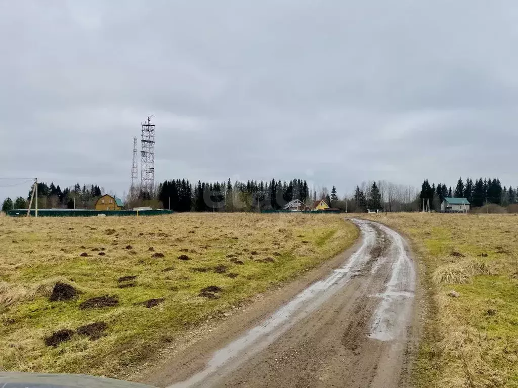 Участок в Псковская область, Печоры Вишенка садовое товарищество,  ... - Фото 1