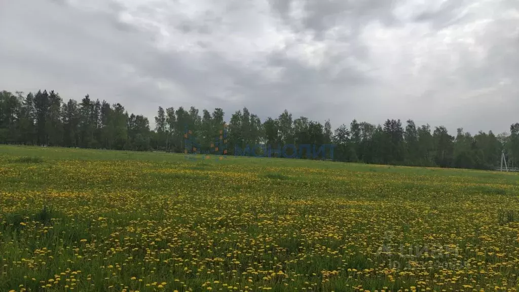 Участок в Нижегородская область, Богородский муниципальный округ, с. ... - Фото 0