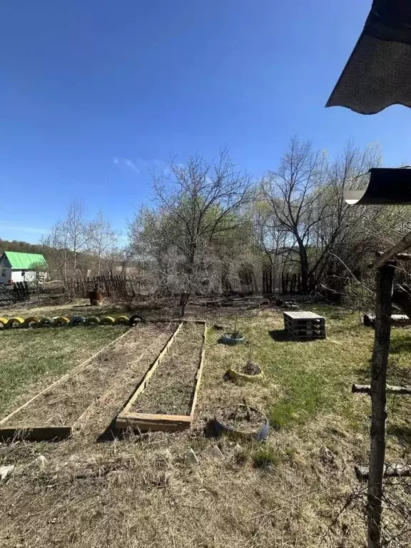 Участок в Амурская область, Благовещенск  (6.0 сот.) - Фото 1