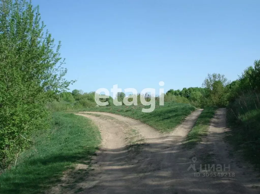 Участок в Красноярский край, Емельяновский район, Шуваевский ... - Фото 1