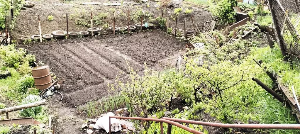 3-к кв. Кемеровская область, Кемерово Бийская ул., 46 (70.0 м) - Фото 2