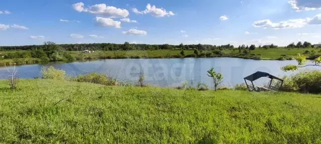 Участок 10 сот. (СНТ, ДНП) - Фото 0