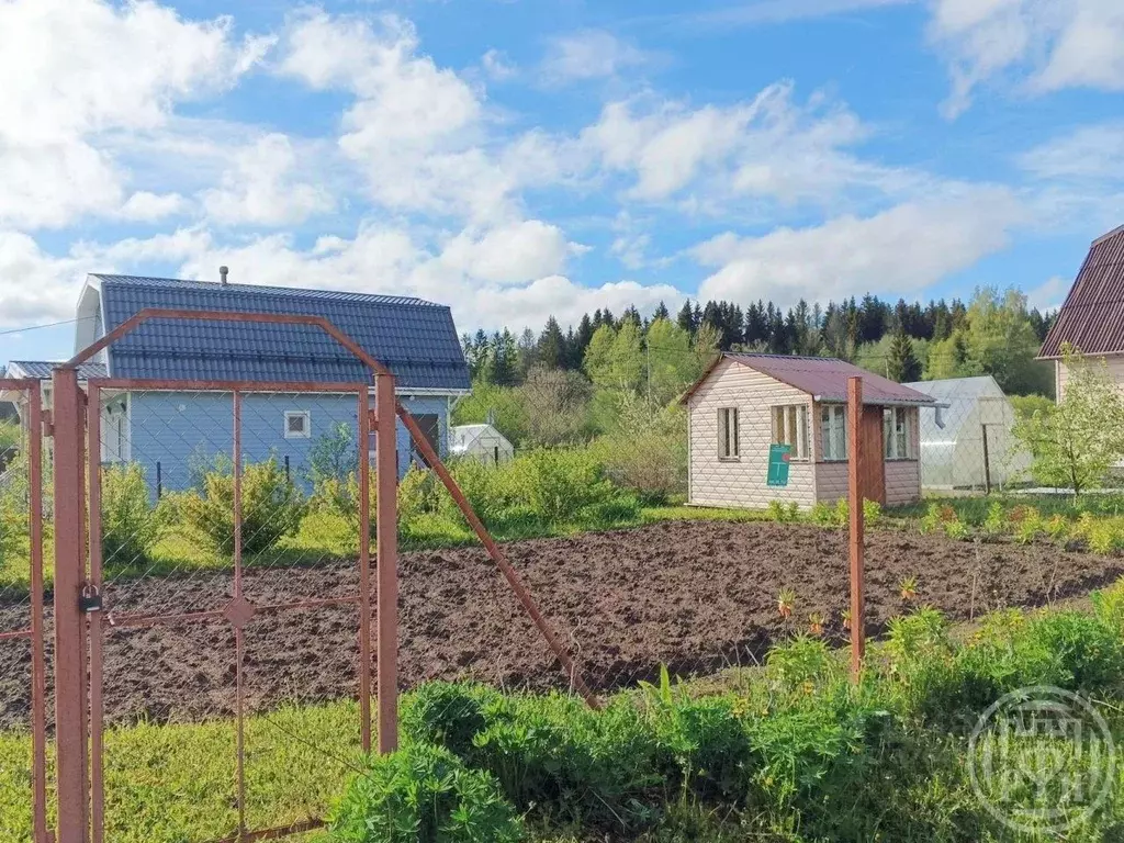 Участок в Ленинградская область, Выборгский район, пос. Первомайское, ... - Фото 2