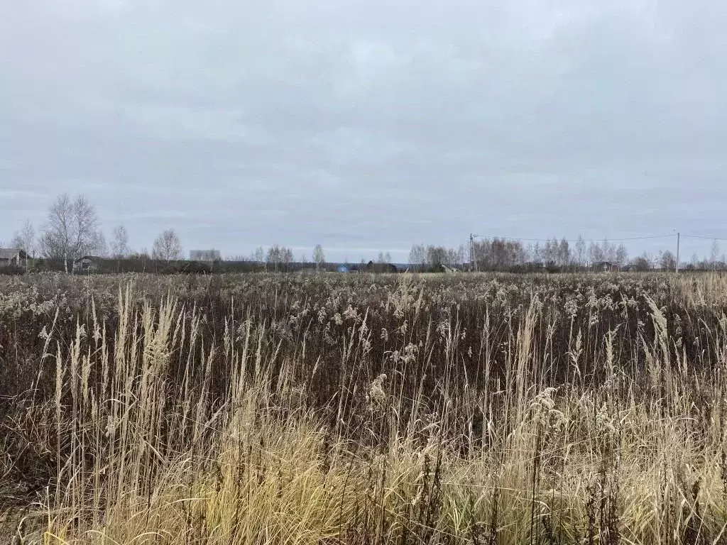 Участок в Калужская область, Перемышльский район, Большие Козлы с/пос, ... - Фото 1