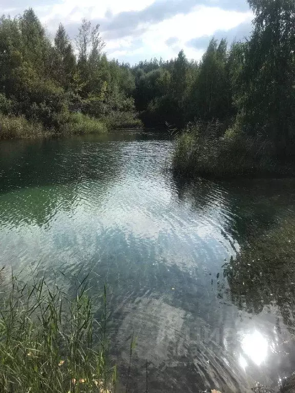 Участок в Ульяновская область, Ульяновск Оазис-1 СНТ, 2280 (10.0 сот.) - Фото 1