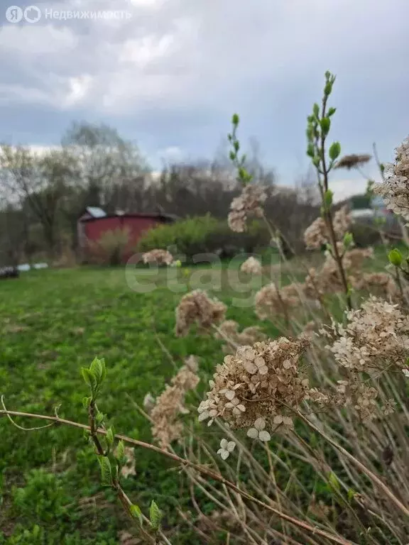 Дом в Калужская область, Дзержинский муниципальный округ, городское ... - Фото 2