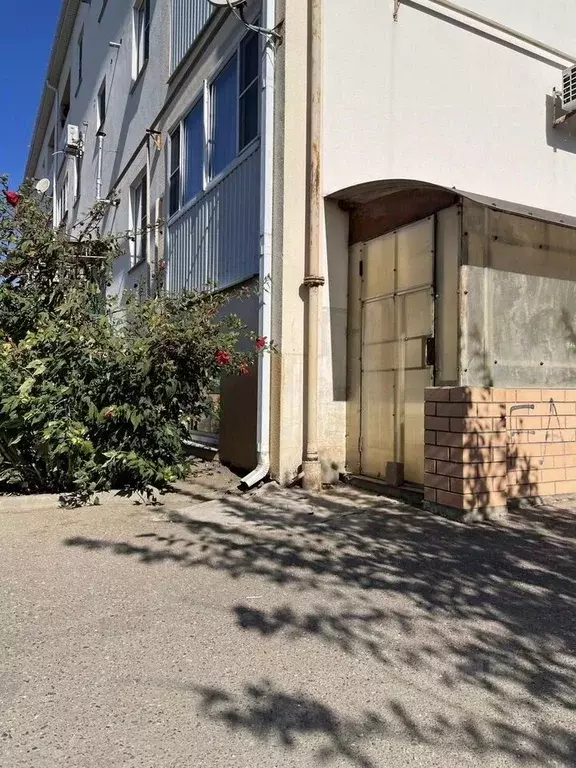 Помещение свободного назначения в Краснодарский край, Темрюкский ... - Фото 2