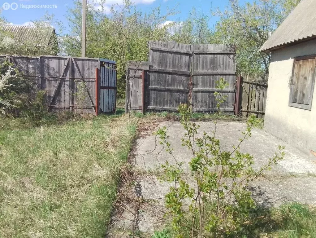 Участок в Каширский район, Колодезянское сельское поселение, село ... - Фото 2