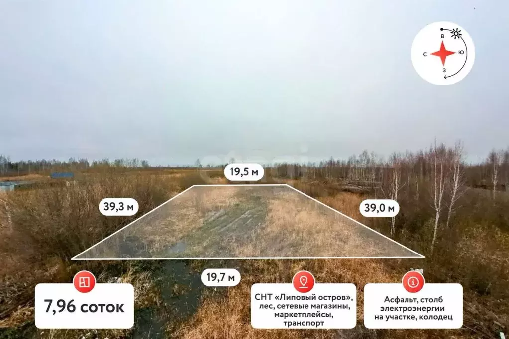 Участок в Тюменская область, Тюмень Садовое товарищество Липовый ... - Фото 1