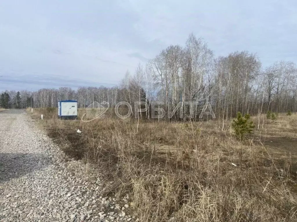 Участок в Тюменская область, Тюменский район, Новокаменский кп ул. ... - Фото 0