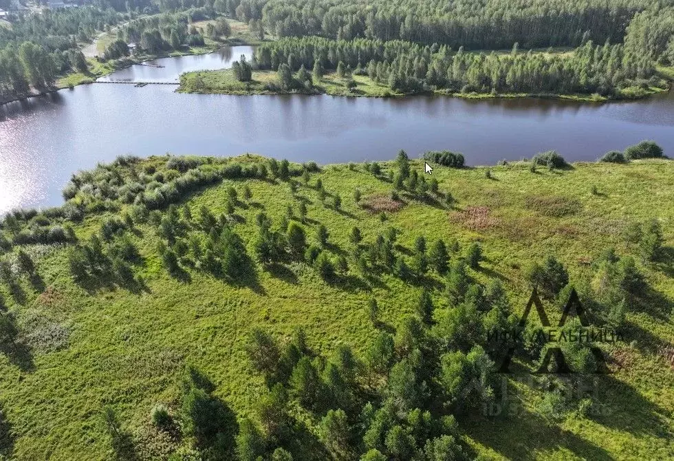 Участок в Свердловская область, Екатеринбург Шабровские дачи жилой ... - Фото 1