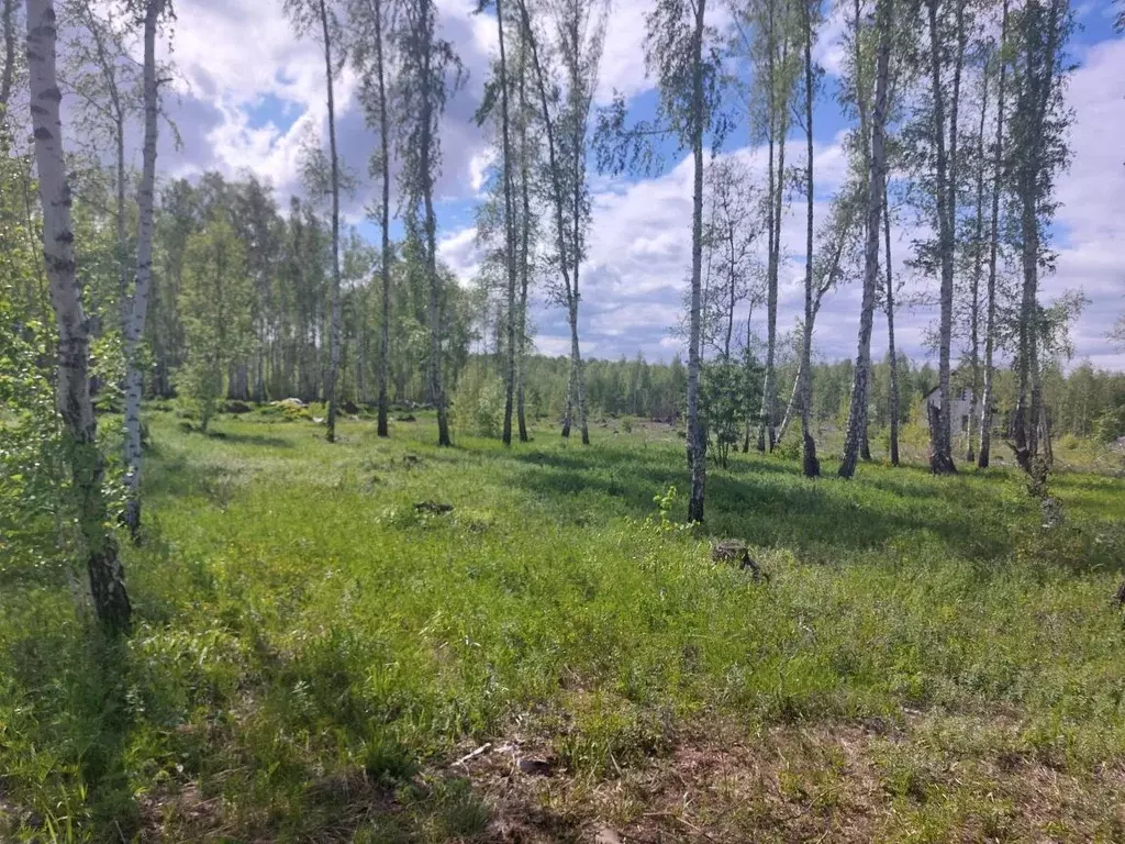 Участок в Челябинская область, Сосновский район, Кременкульское с/пос, ... - Фото 0