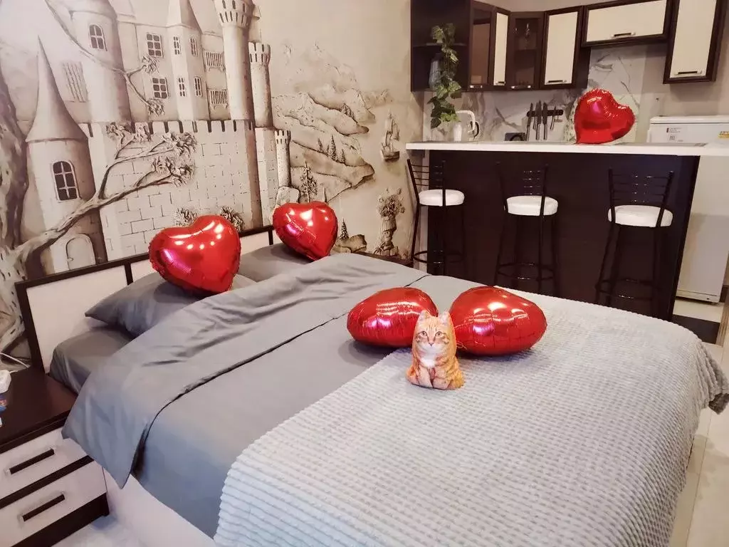 Студия Ленинградская область, Выборг ул. Сторожевой Башни, 9 (23.0 м) - Фото 1