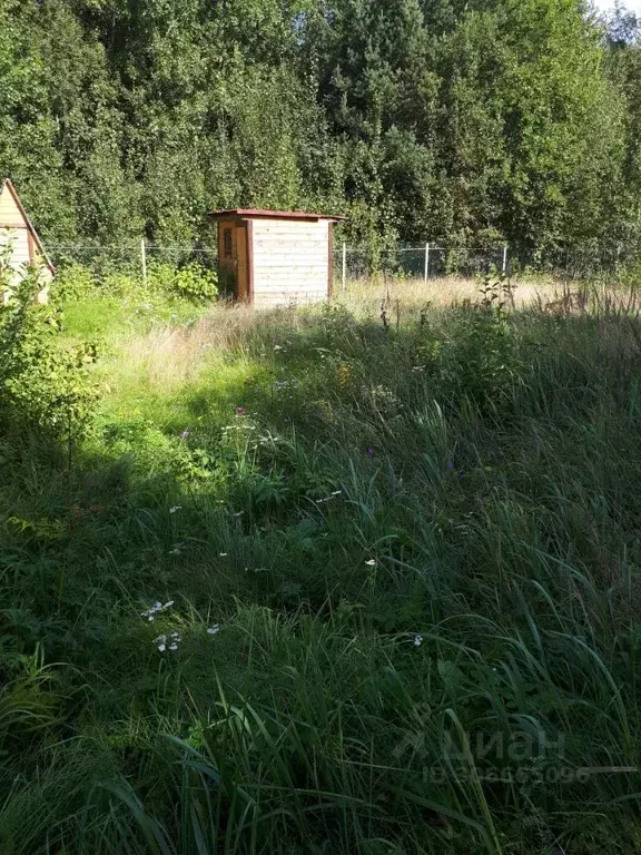 Участок в Ленинградская область, Кингисеппский район, пос. Усть-Луга, ... - Фото 0