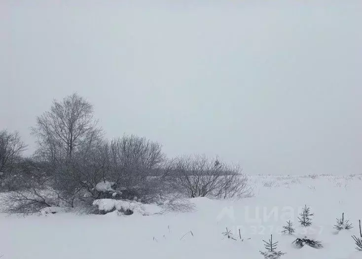 Участок в Московская область, Дмитровский муниципальный округ, д. ... - Фото 1