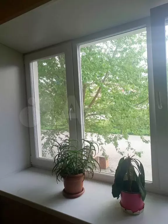 1-к. квартира, 31 м, 1/5 эт. - Фото 0