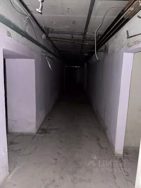 Помещение свободного назначения в Омская область, Омск Привокзальный ... - Фото 2