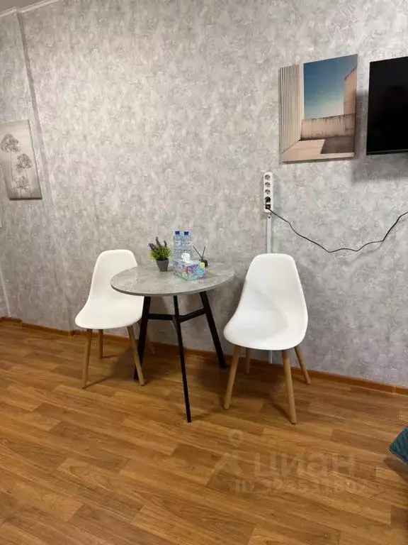 Студия Пермский край, Пермь Автозаводская ул., 30 (21.0 м) - Фото 2