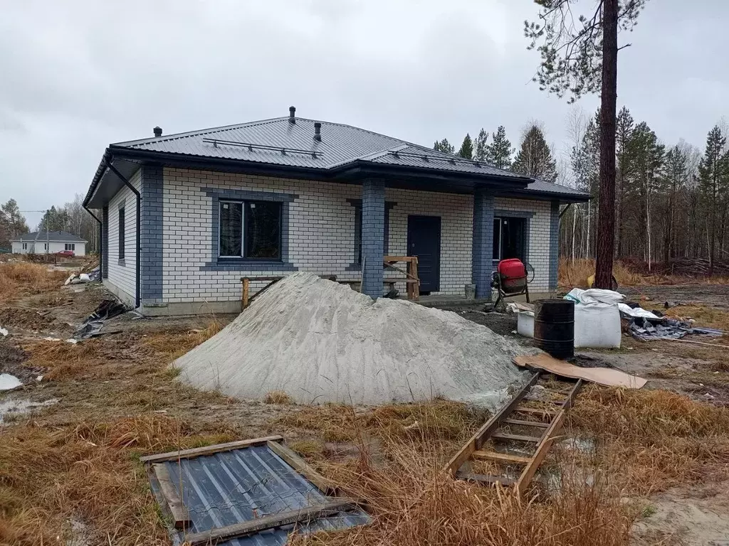 Дом в Тюменская область, Нижнетавдинский муниципальный округ, с. ... - Фото 2