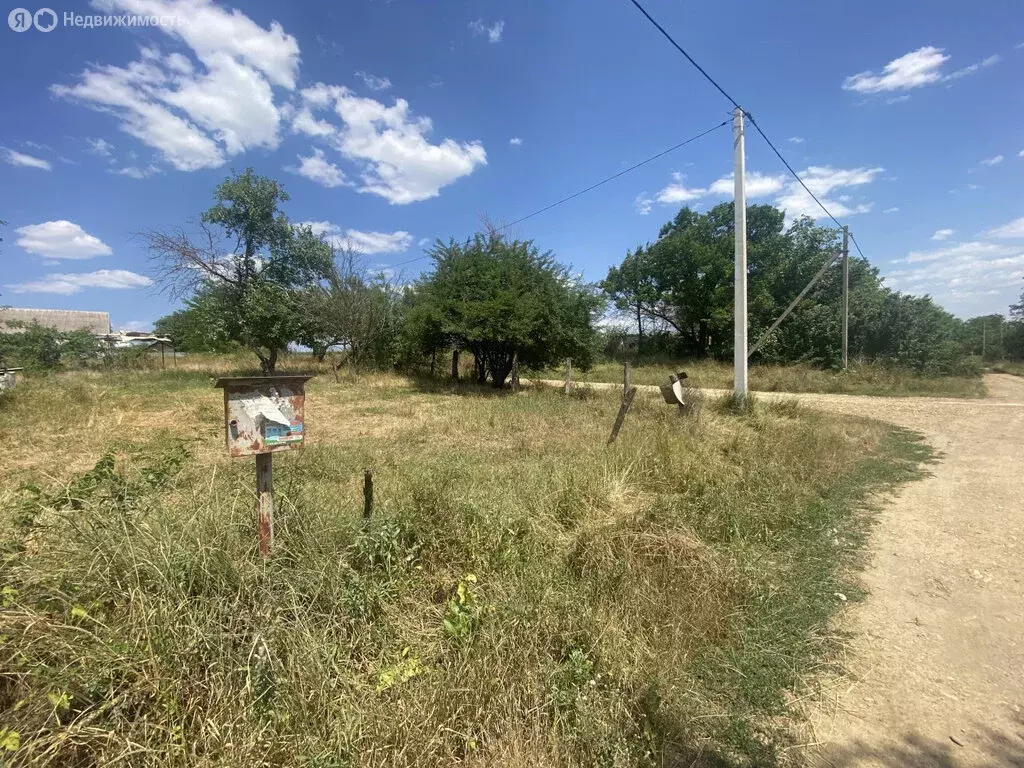 Участок в Курганинский район, станица Новоалексеевская (20 м) - Фото 1