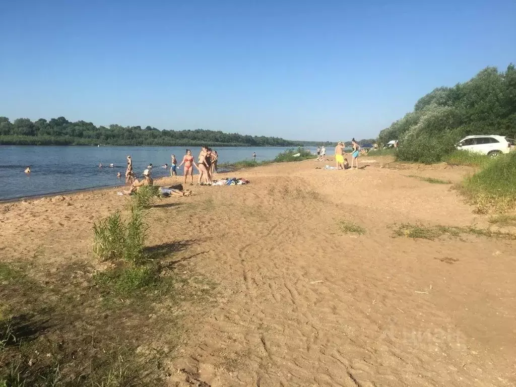 Участок в Тульская область, Ясногорский район, Иваньковское с/пос, д. ... - Фото 2
