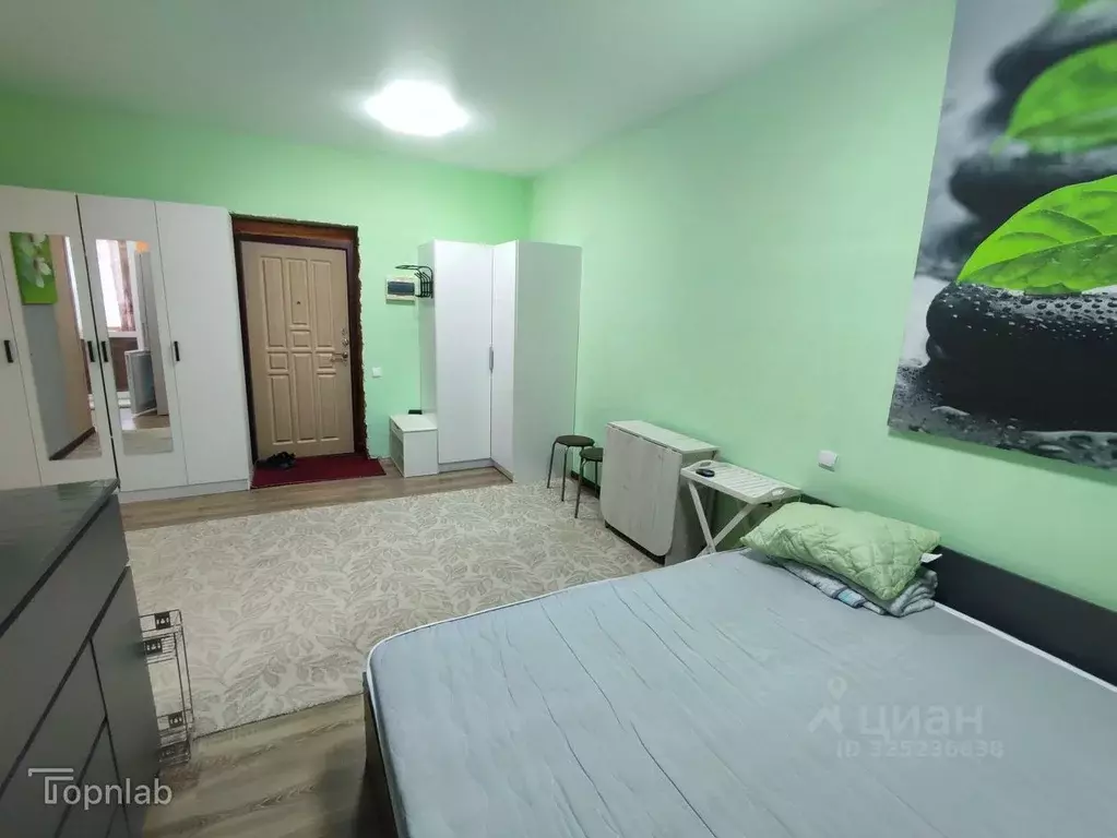 1-к кв. Московская область, Серпухов городской округ, д. Скрылья 275 ... - Фото 2