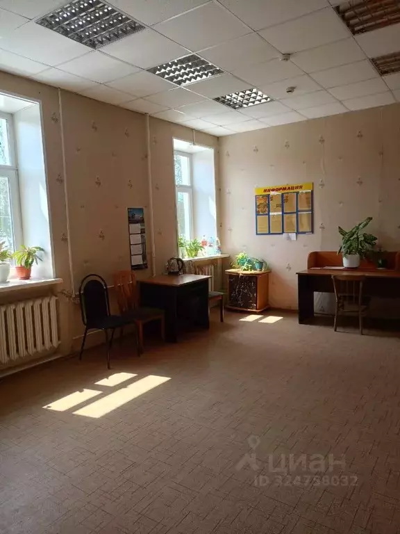 Помещение свободного назначения в Вологодская область, Кадуй рп ул. ... - Фото 2