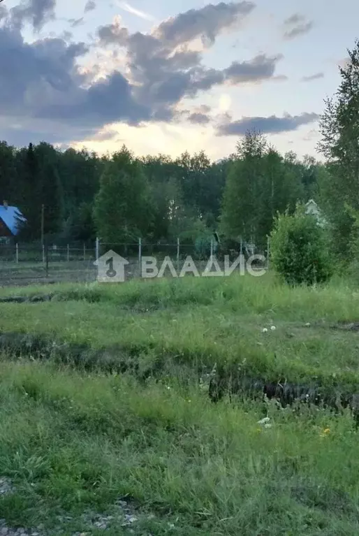 Участок в Новосибирская область, Новосибирский район, Станционный ... - Фото 1