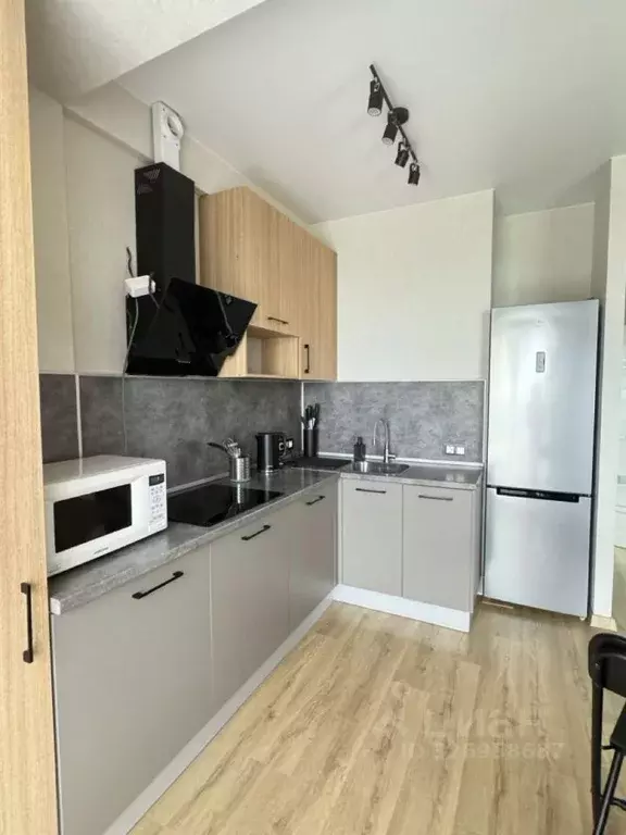 Студия Краснодарский край, Сочи городской округ, Дагомыс пгт ул. ... - Фото 0