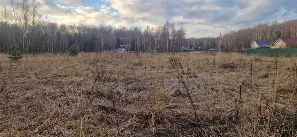Участок в Московская область, Домодедово городской округ, с. Добрыниха ... - Фото 0