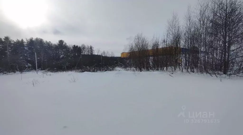 Участок в Московская область, Серпухов городской округ, д. Борисово  ... - Фото 1