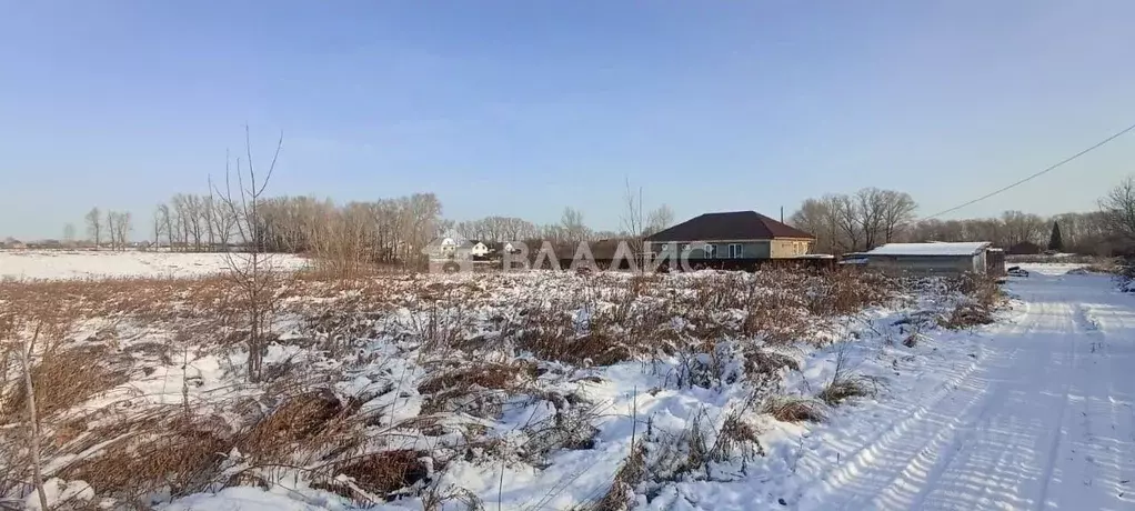 Участок в Алтайский край, Бийский район, пос. Пригородный ул. Северная ... - Фото 2